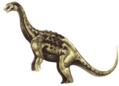 Aeolosaurus.jpg