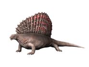 Edaphosaurus NT small