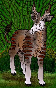 Sivatherium giganteum.jpg