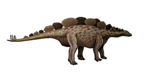 9185626 orig.png