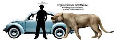 M osteothlastes.jpg