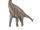 Paluxysaurus