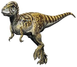 Siamotyrannus.jpg