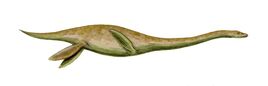 Mauisaurus BW.jpg