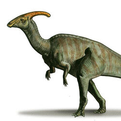 Categoría:Dinosaurios | Wiki Dino | Fandom