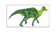 Corythosaurus1