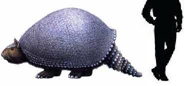 Glyptotherium.jpg