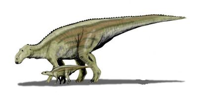 Maiasaura.jpg