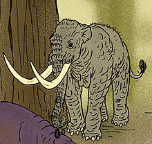 220px-Elephas falconeri.jpg