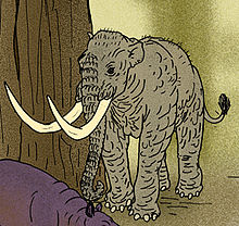 220px-Elephas falconeri