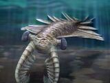 Anomalocaris