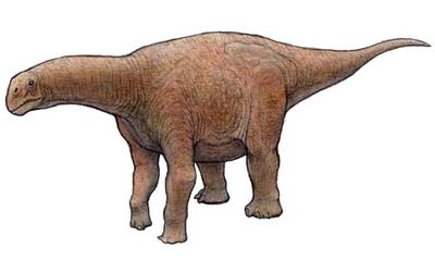 Nurosaurus.jpg