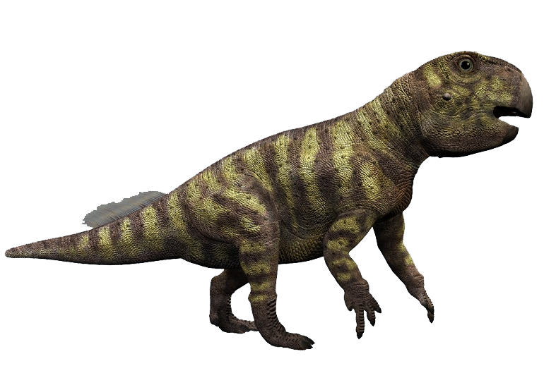 File:202007 Tyrannosaurus rex.svg - Wikimedia Commons