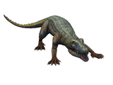 Nundasuchus