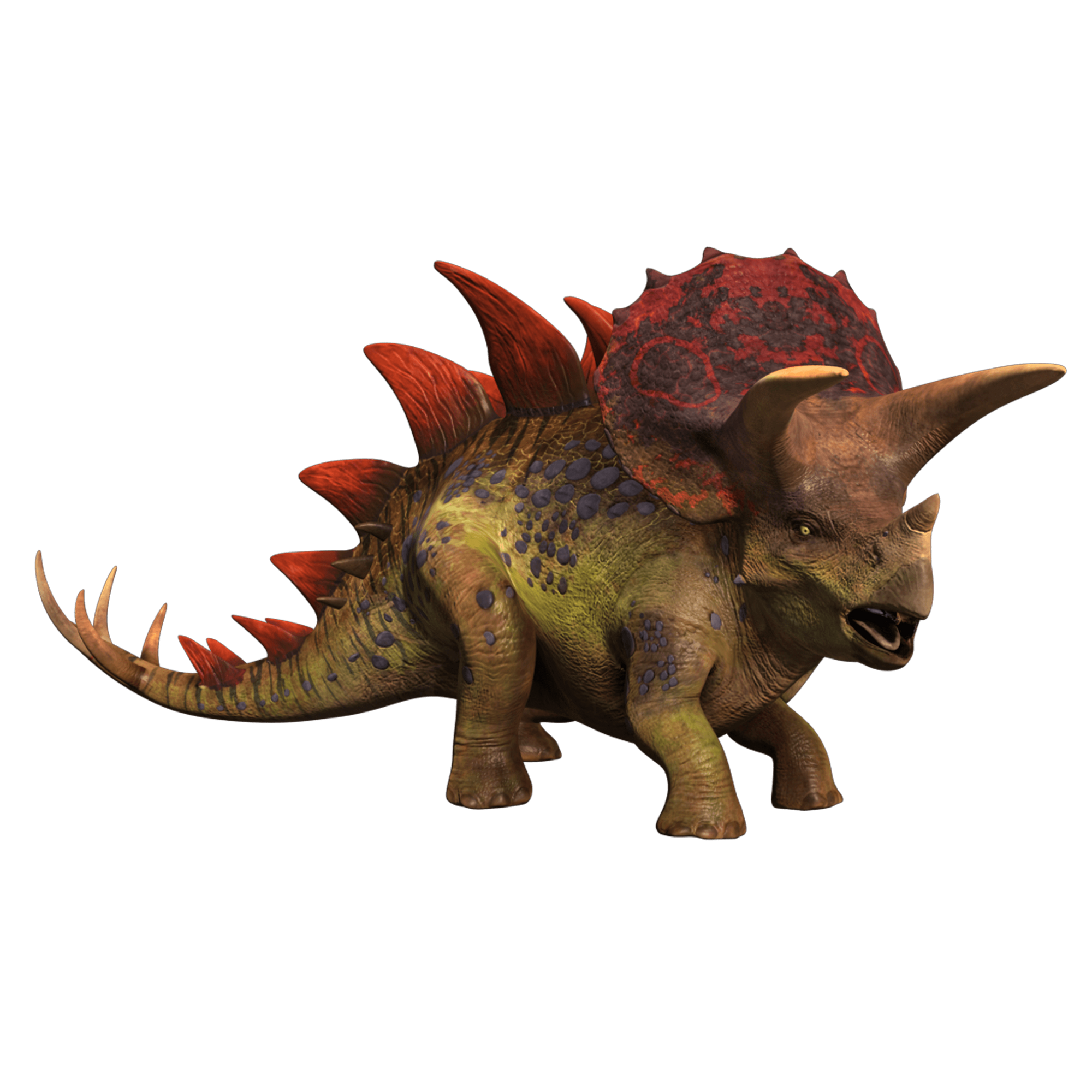 triceratops stegosaurus