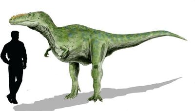 Alioramus2.jpg