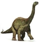 Asiatosaurus.jpg