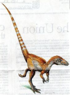 Img004.jpg