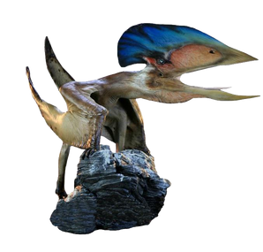 5398469 orig.png