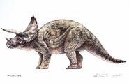 Triceratops JP concept