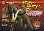 Wooly Mammoth front