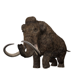 JWA PressKit Woolly Mammoth