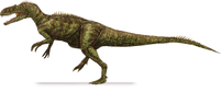 Neovenator