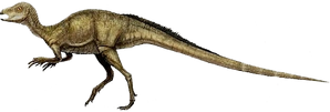 838332 orig.png