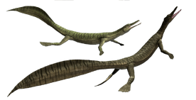 1813811 orig.png