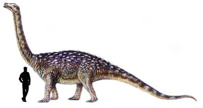 Saltasaurus