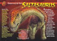 Saltasaurus front