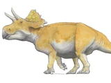 Turanoceratops