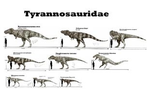 Tyrannosauridae.jpg