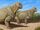 Moschops