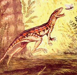Lagosuchus.jpg