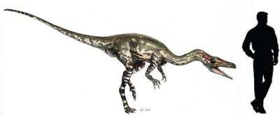 Coelophysis