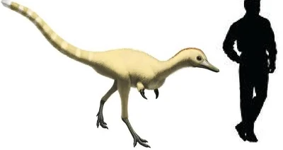 Achillesaurus