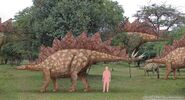 Stegosaurus by Sameerprehistorica-d70c83p