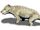 Exaeretodon