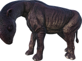 Paraceratherium