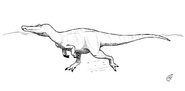 Sketch drawing of Baryonyx swimming