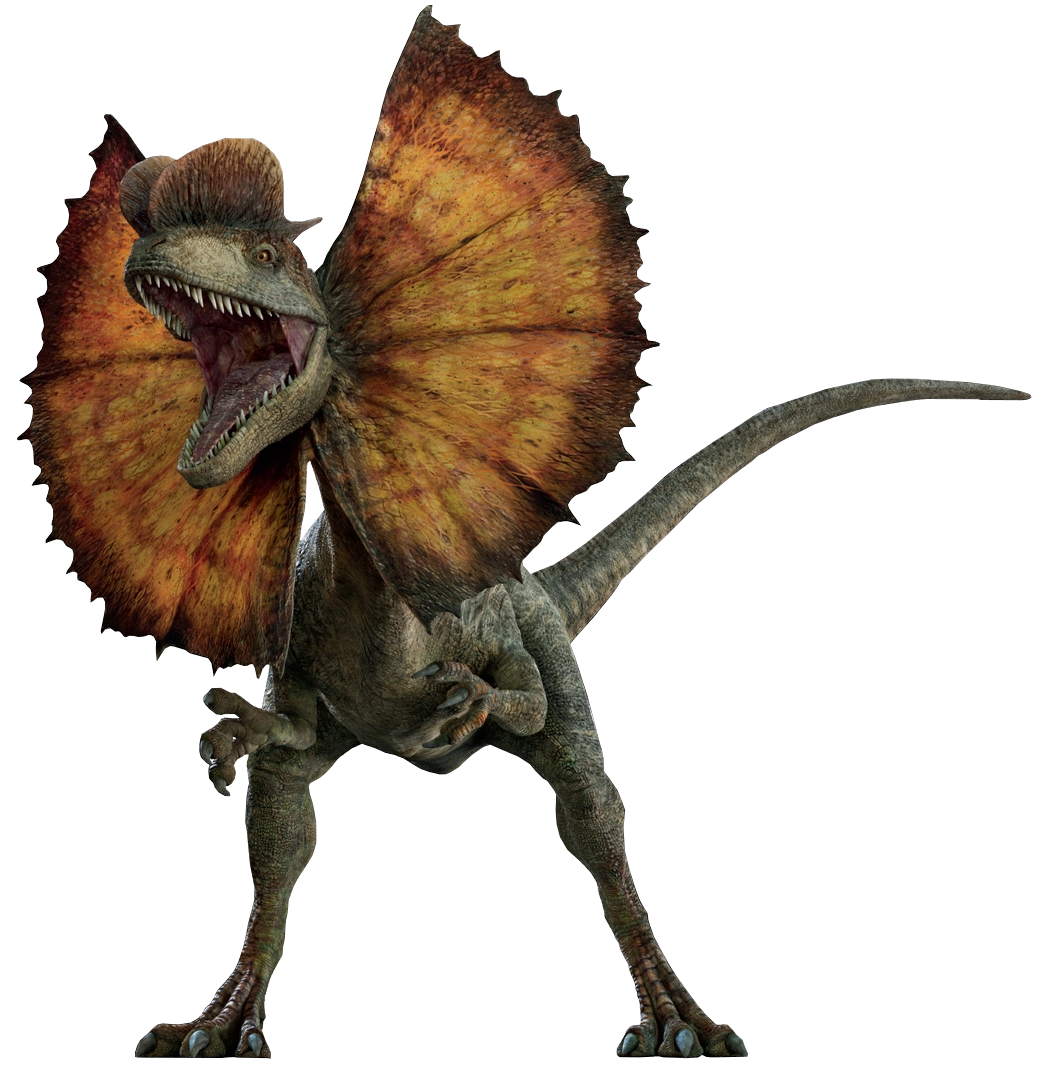 Dilophosaurus | Dinosaur Wiki | Fandom