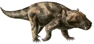 Cynognathus