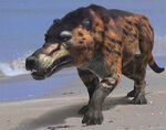 1512182073 ad893017a6.jpg (35 kB) Andrewsarchus en una playa