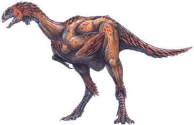 Avimimus portentosus.gif
