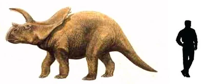 Arrhinoceratops