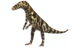 Gracilisuchus 000.png