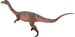 Sellosaurus.png