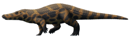 Tumblr p40l8gkL7s1s5f2yxo1 1280.png