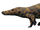 Boverisuchus